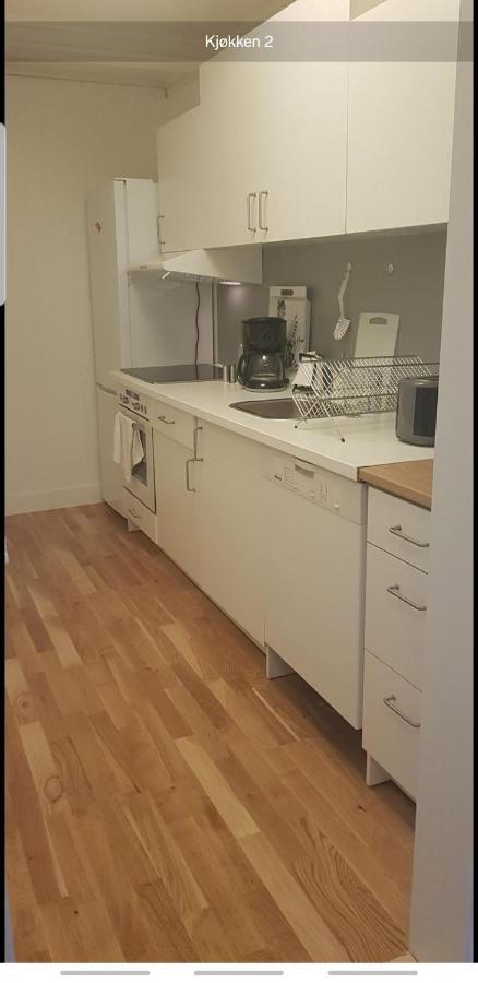 Blue House Brevik Porsgrunnアパートメント エクステリア 写真